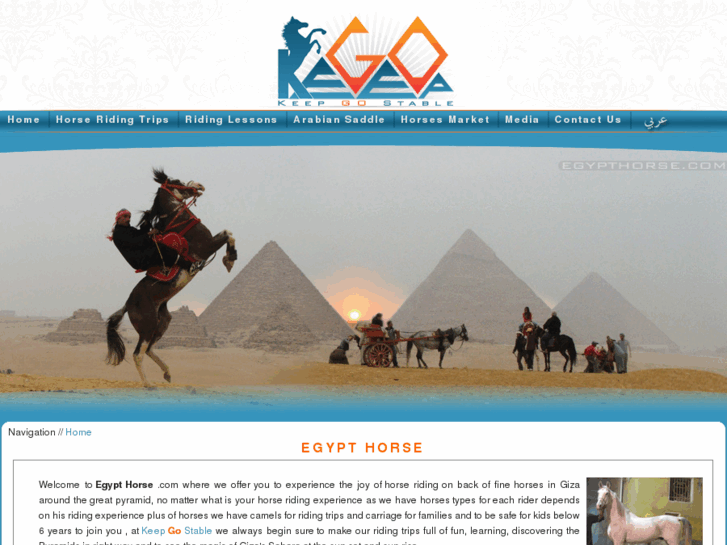 www.egypthorse.com