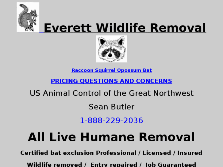 www.everettraccoonremoval.com