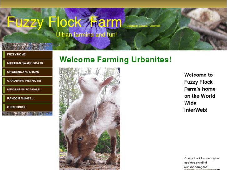 www.fuzzyflockfarm.com