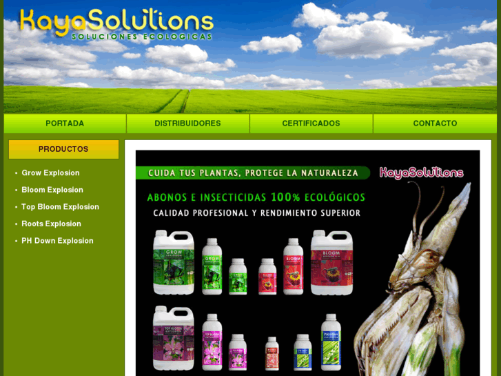 www.kayasolutions.com