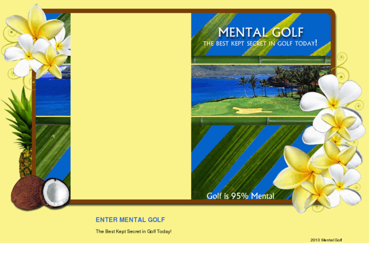 www.mentalgolf.com