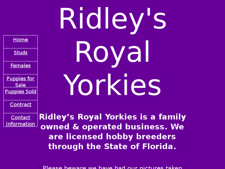 www.ridleysyorkies.com