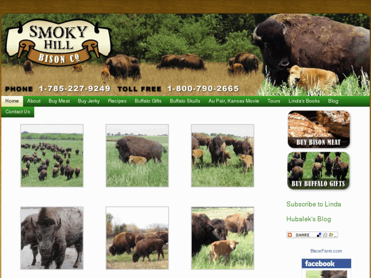 www.bisonfarm.com