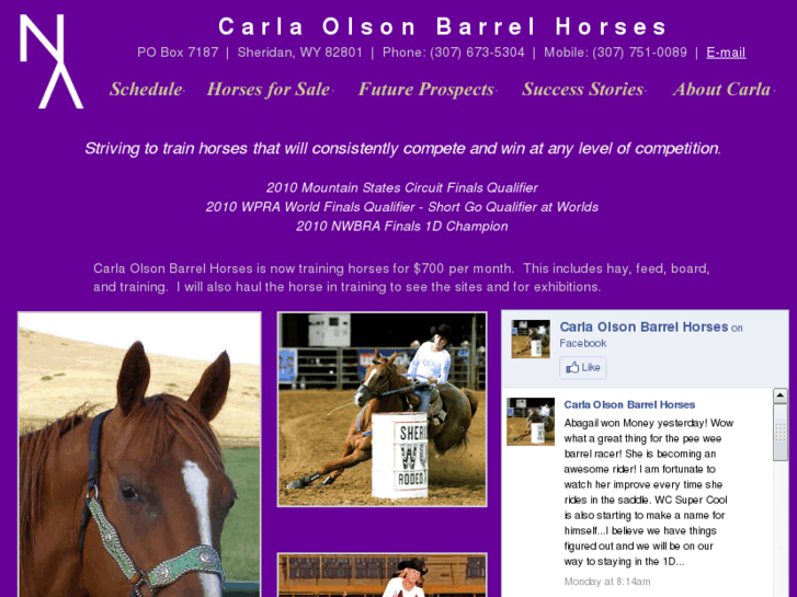 www.carlaolsonbarrelhorses.com