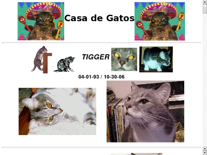 www.casadegatos.com