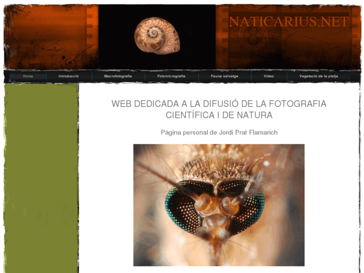 www.naticarius.info