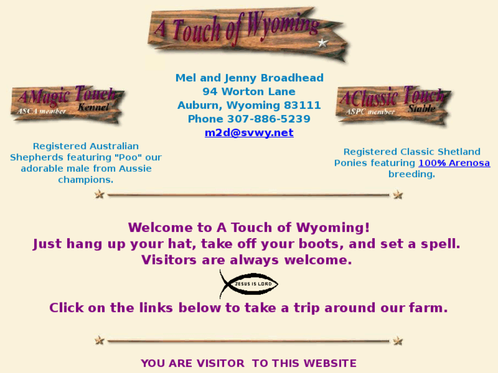 www.atouchofwyoming.com