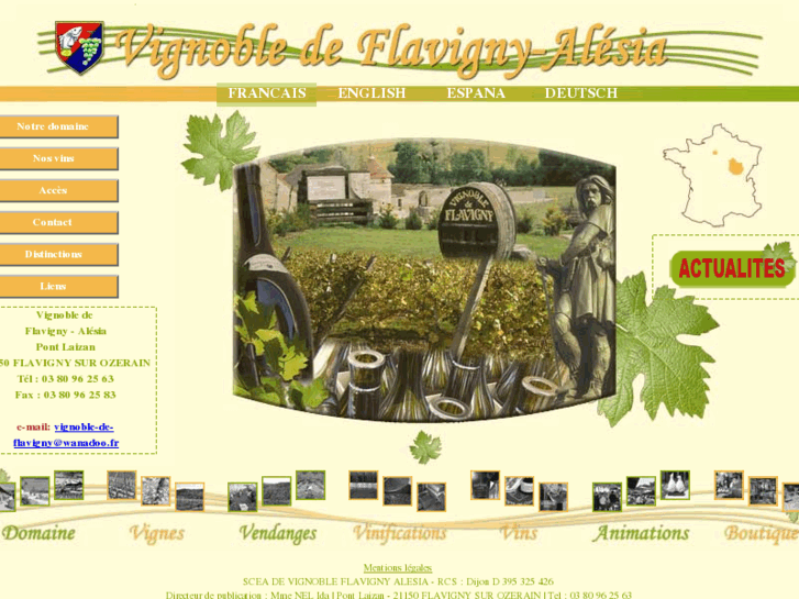 www.vignoble-flavigny.com