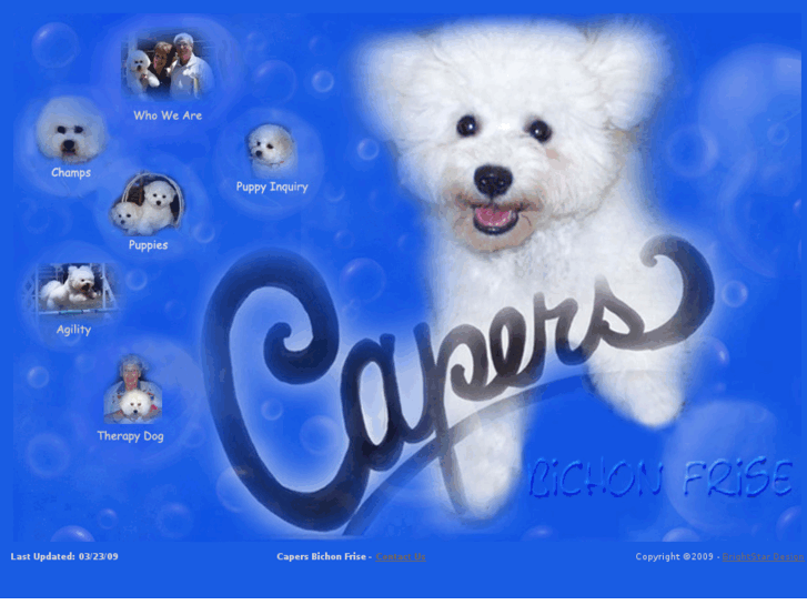 www.capersbichons.com