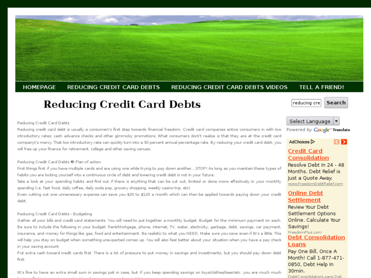 www.reducingcreditcarddebts.com