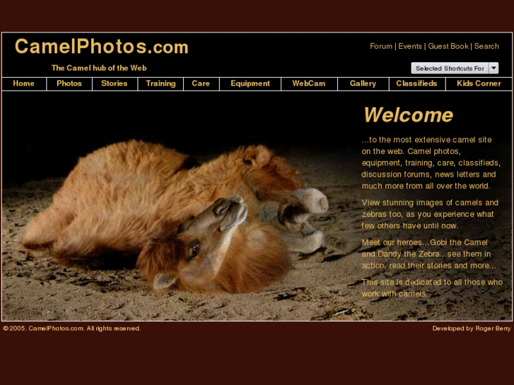 www.allcamels.info