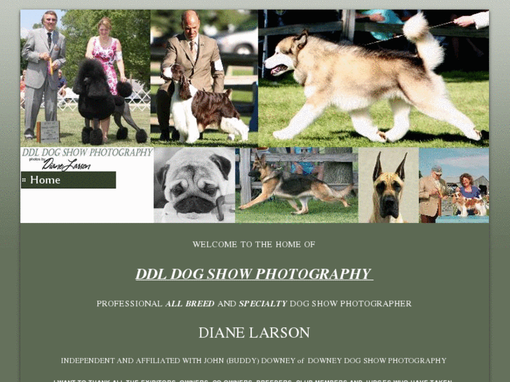 www.ddldogshowphotography.com