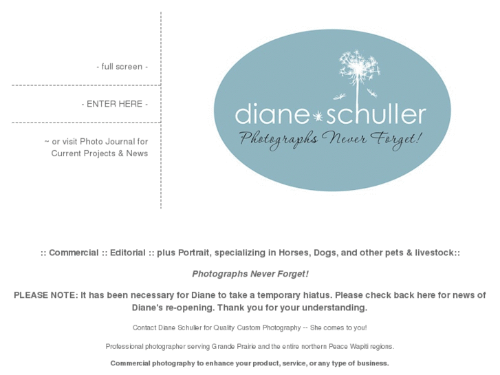 www.dianeschuller.com