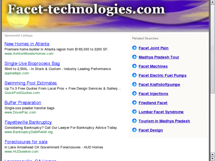 www.facet-technologies.com