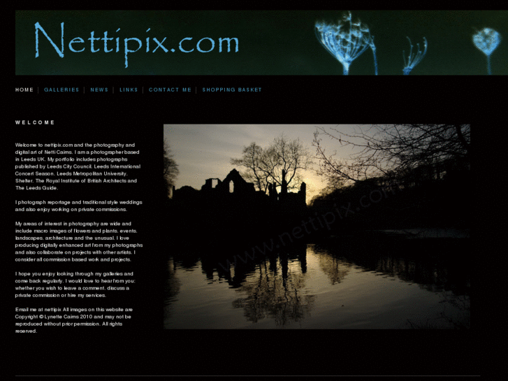 www.nettipix.com