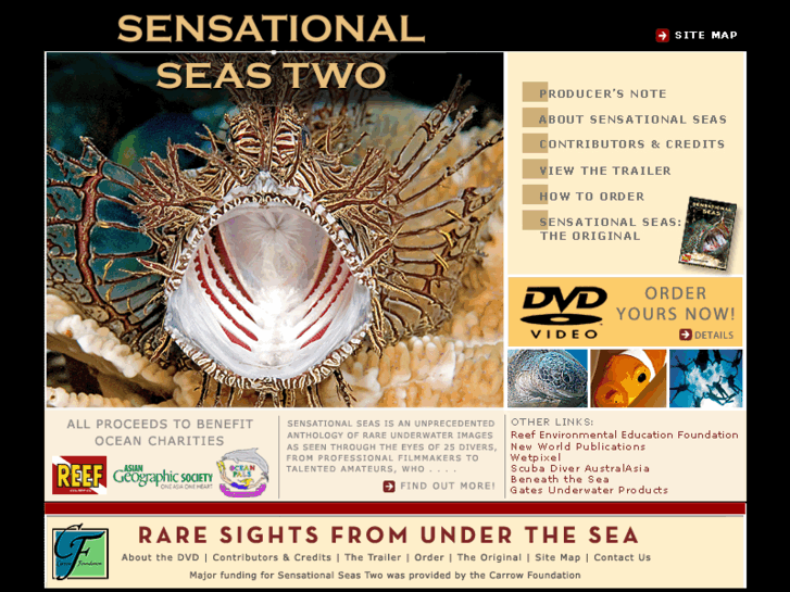 www.sensationalseas.com