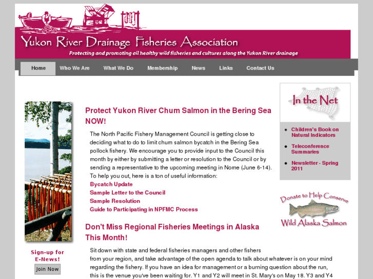 www.yukonsalmon.net