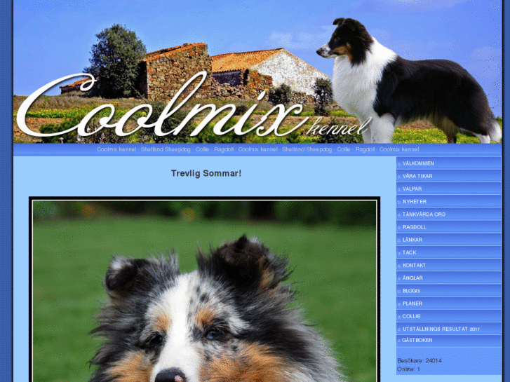 www.coolmixkennel.se