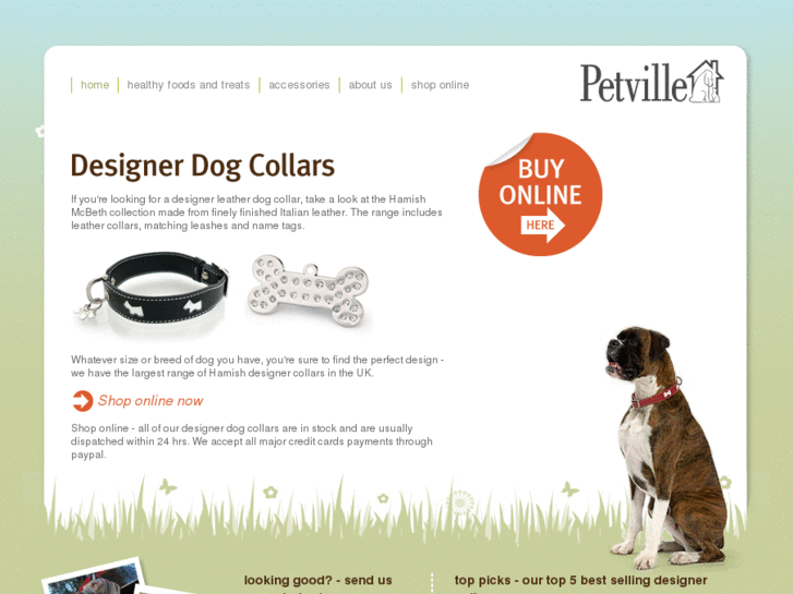 www.designer-leather-dog-collars.co.uk