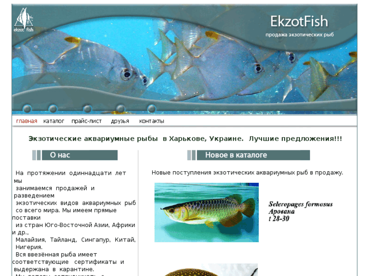 www.ekzotfish.com