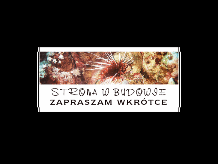 www.grygorczyk.com