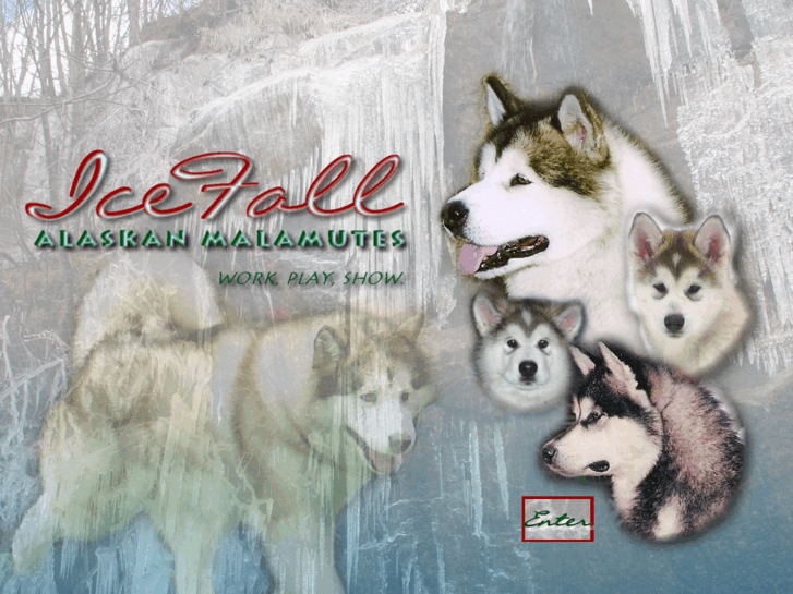 www.icefallalaskanmalamutes.com