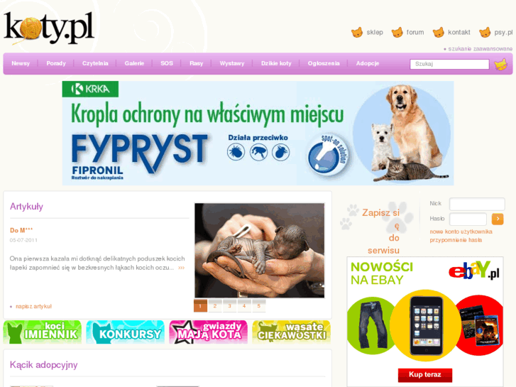 www.koty.pl