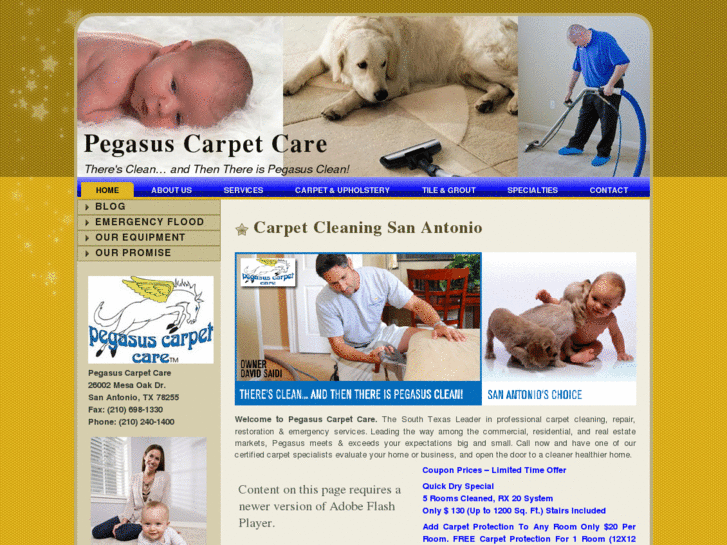 www.pegasuscarpetcare.com