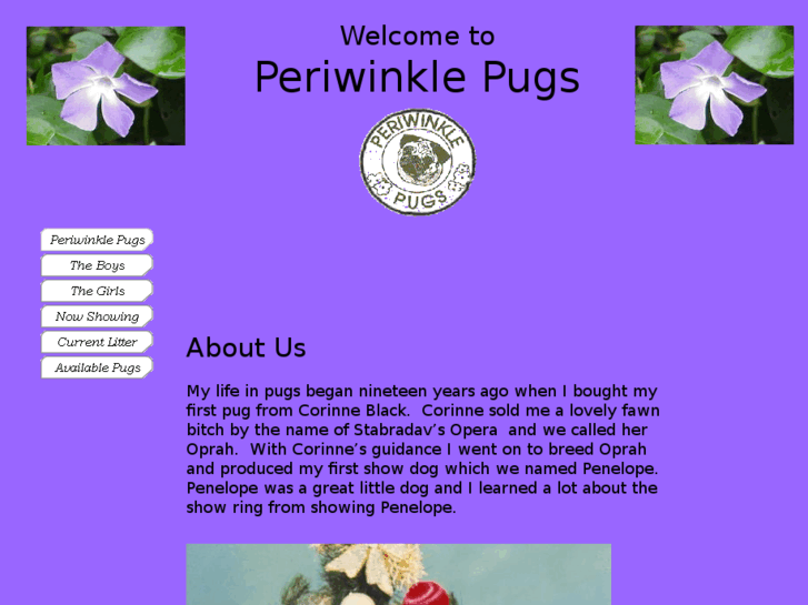 www.periwinklepugs.com