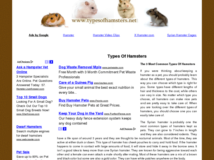 www.typesofhamsters.net