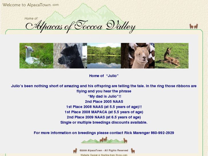 www.alpacatown.com