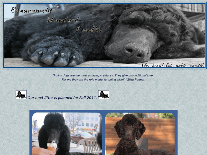 www.beaucanichestandardpoodles.com