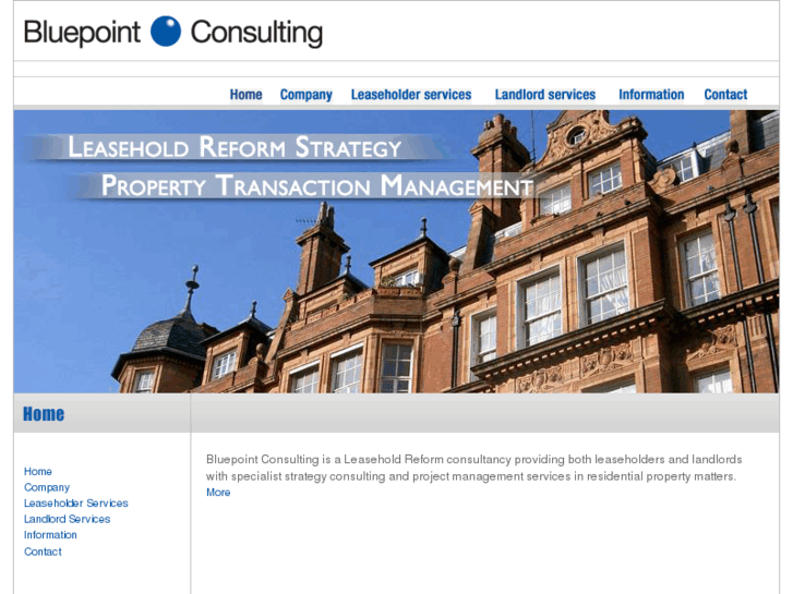 www.bluepointconsulting.com