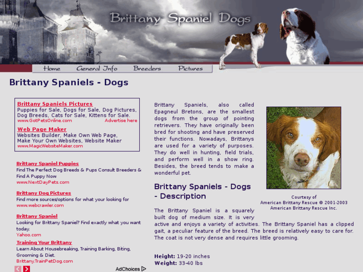 www.brittany-spaniel-dogs.com