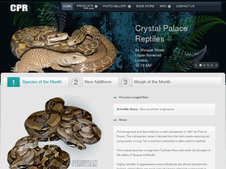 www.crystalpalacereptiles.com