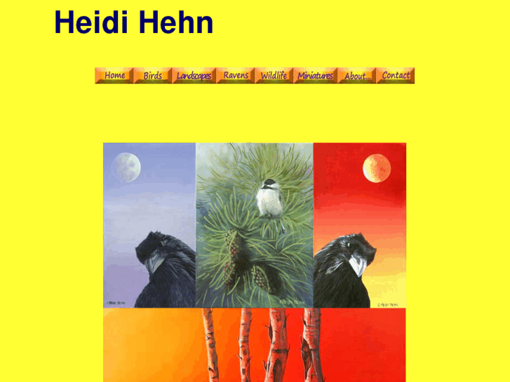 www.heidihehn.com