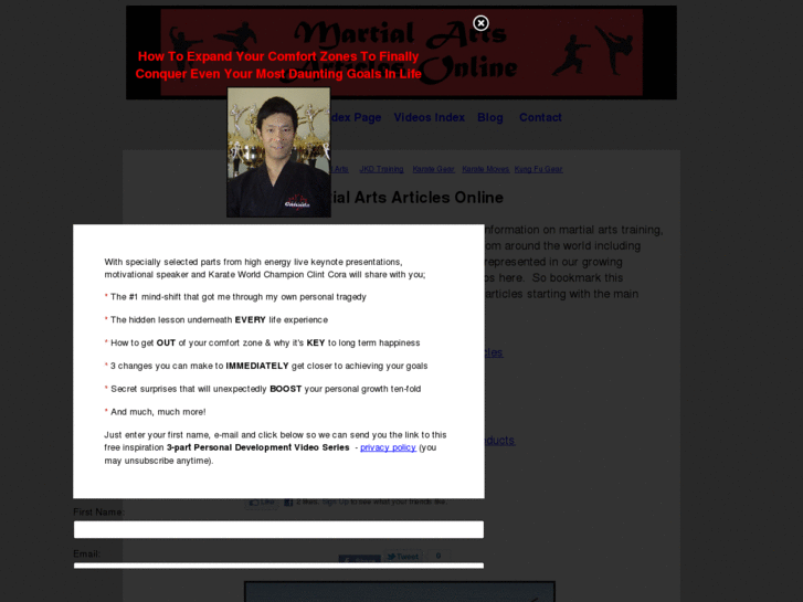 www.martialartsarticlesonline.com