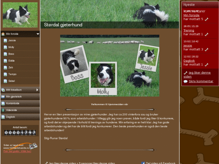 www.stoerdalgjeterhund.com