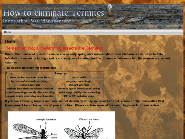 www.termiteslexingtonky.com