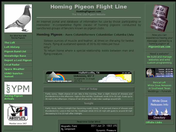 www.homingpigeon.com