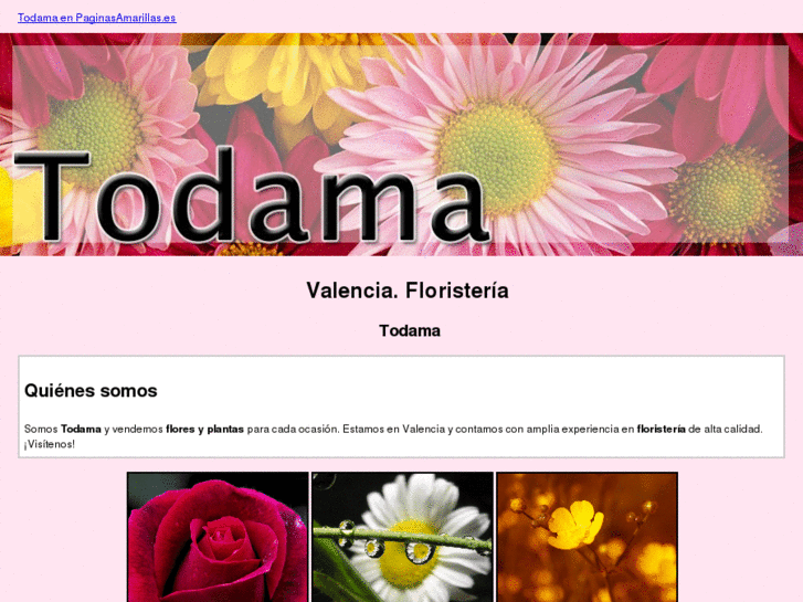 www.todama.es