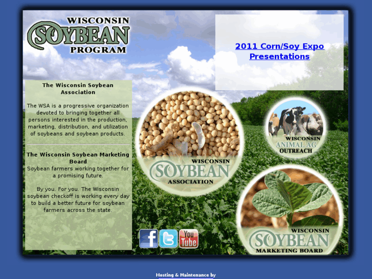 www.wisoybean.org