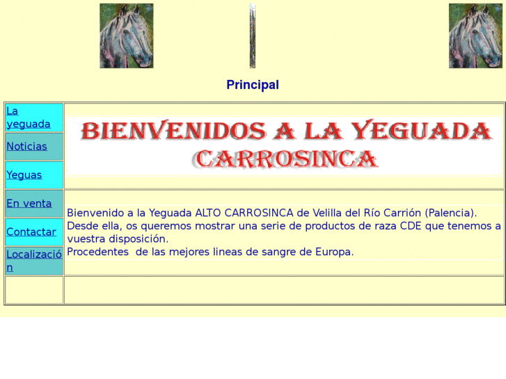 www.yeguadacarrosinca.com