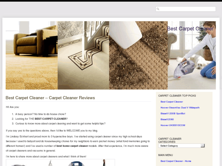 www.carpetcleanerbest.com