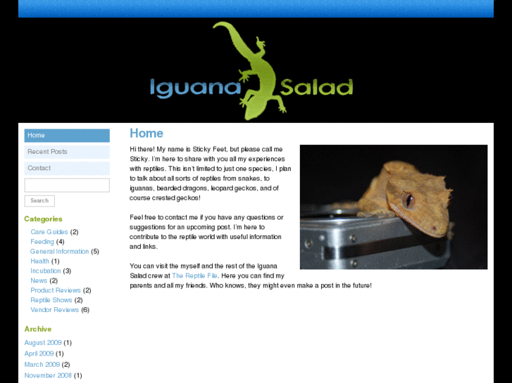 www.iguanasalad.com