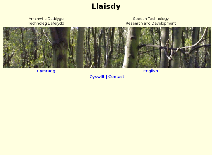 www.llaisdy.com