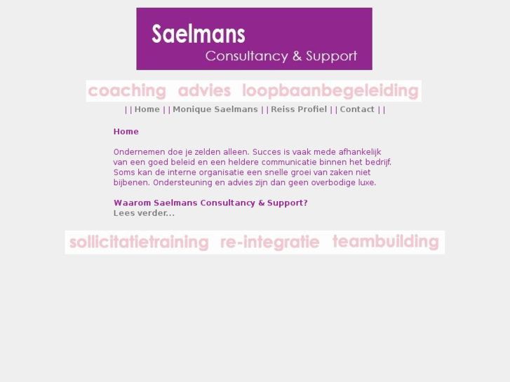 www.saelmansconsultancy.com