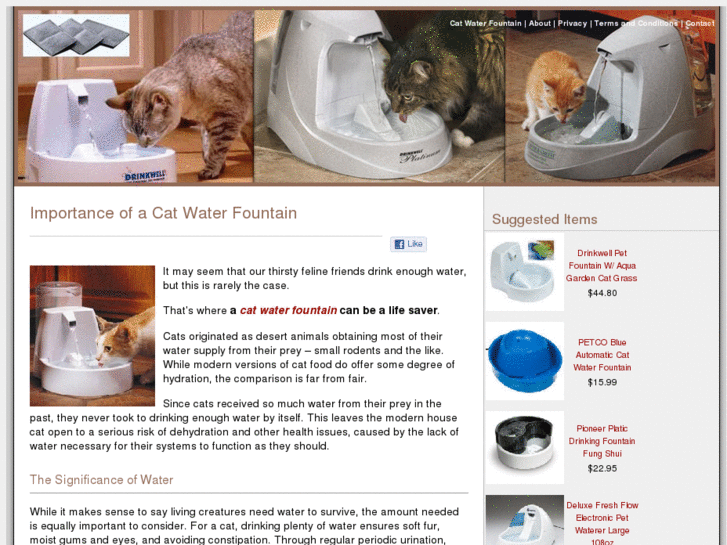 www.catwaterfountain.org