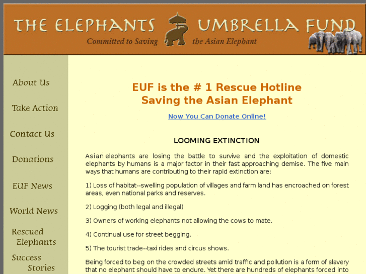 www.elephantsumbrella.org