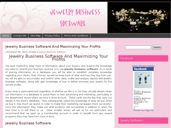 www.jewelrybusinesssoftware.com